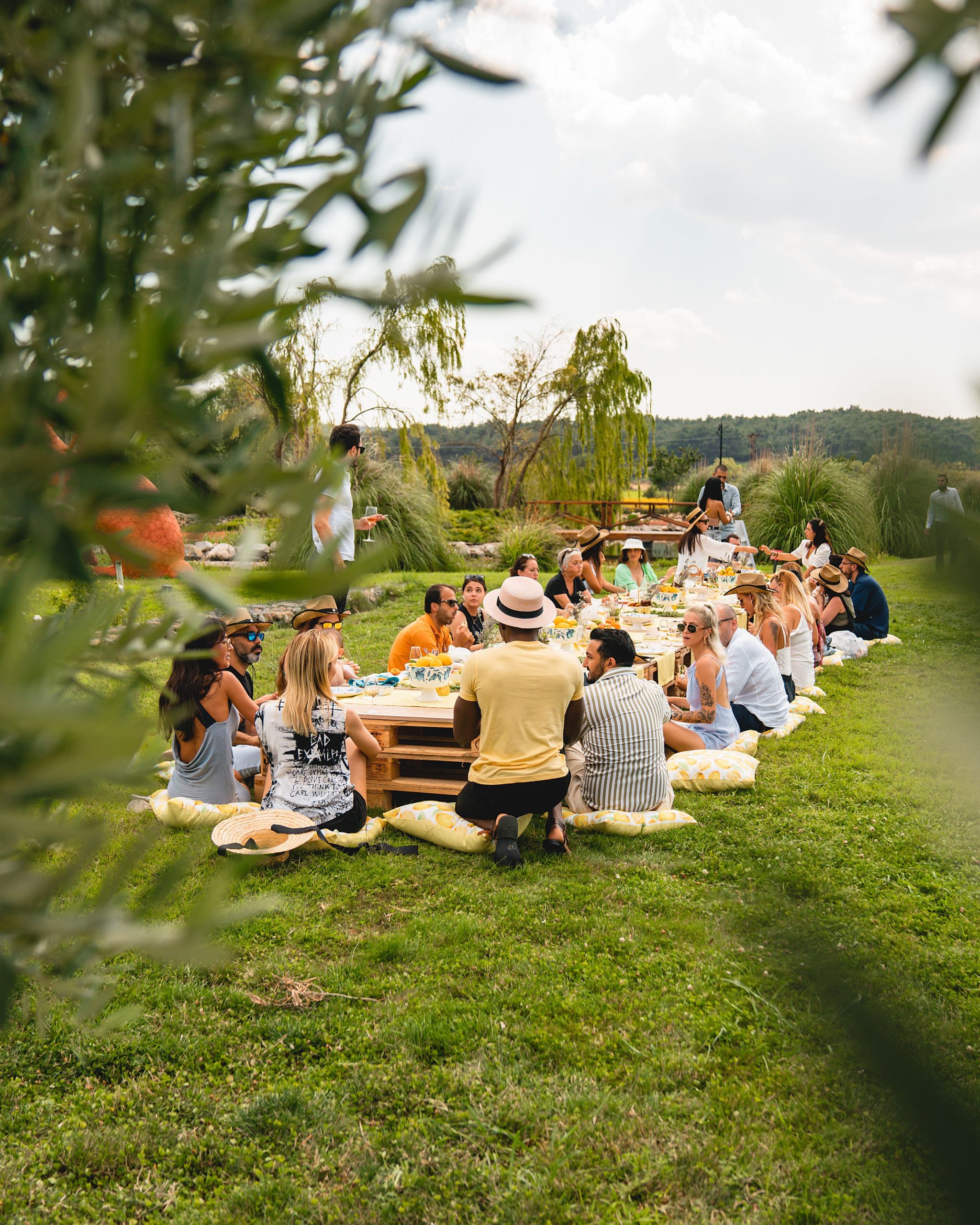 A vibrant picnic with friends enjoying the outdoors in Çanakkale, Türkiye.